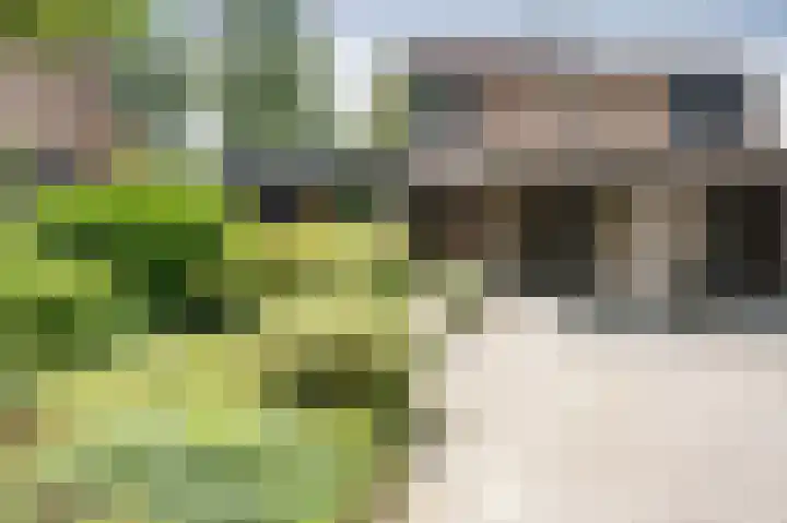 Ronerbrink 94 Emmen thumbnail 30