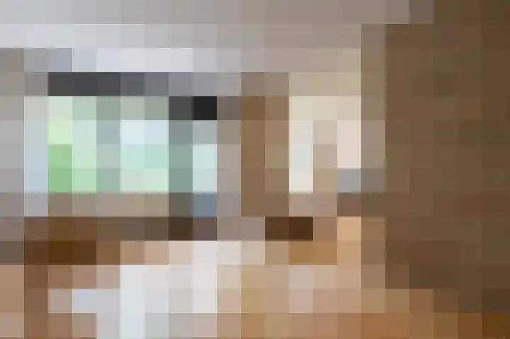 Ronerbrink 94 Emmen thumbnail 6
