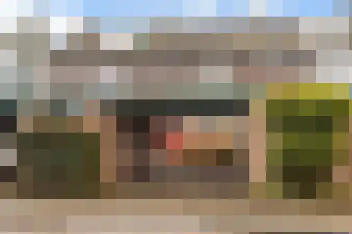 Ronhaarstraat 61 in Amersfoort