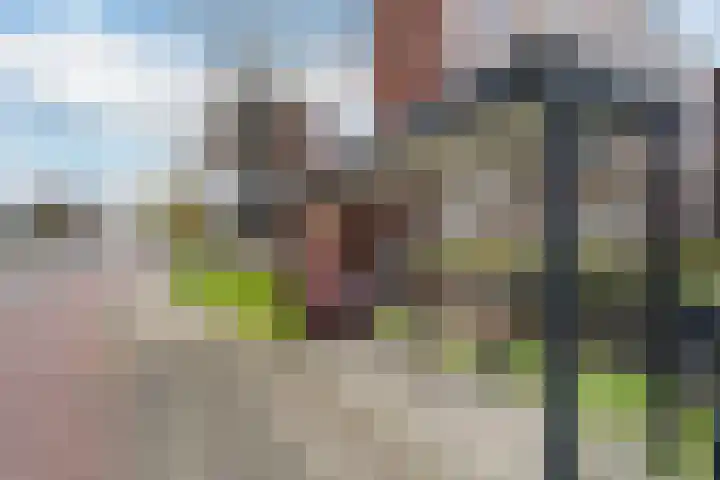 Ronsseweg 20 Gouda thumbnail 29