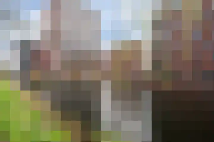 Ronsseweg 20 Gouda thumbnail 31