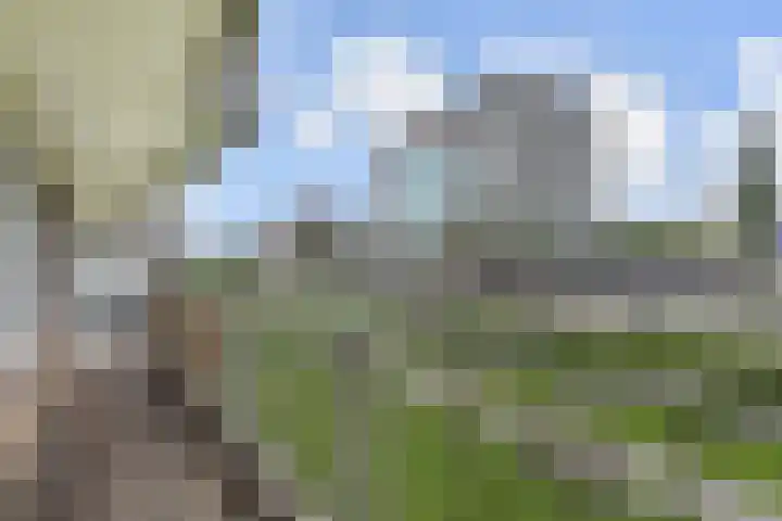 Ronsseweg 347 Gouda thumbnail 16