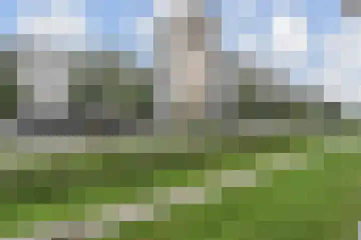 Ronsseweg 347 Gouda thumbnail 33