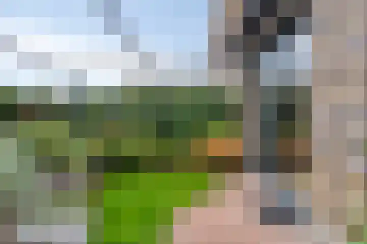 Roodbont 4 Meerstad thumbnail 37