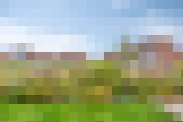 Roodbont 4 Meerstad thumbnail 43
