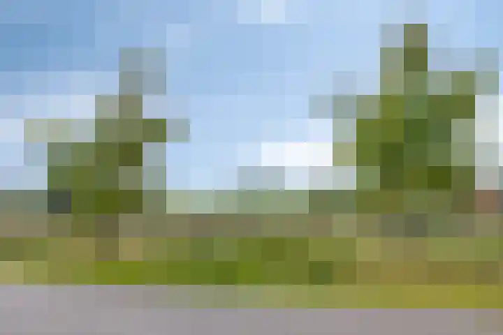Roodbont 4 Meerstad thumbnail 44