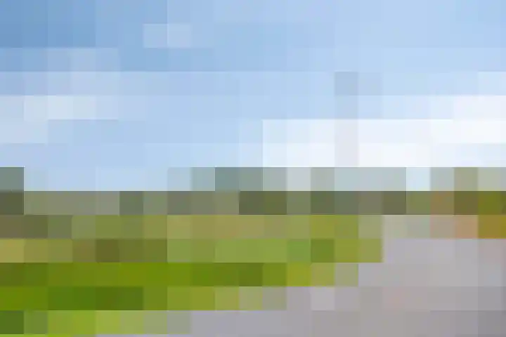 Roodbont 4 Meerstad thumbnail 46