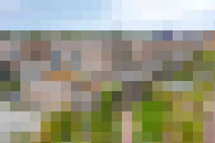 Roodbont 4 Meerstad thumbnail 5