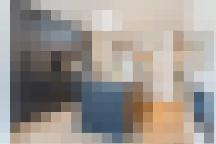 Roodbont 54 Hapert thumbnail 18