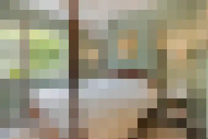 Roodbont 54 Hapert thumbnail 24