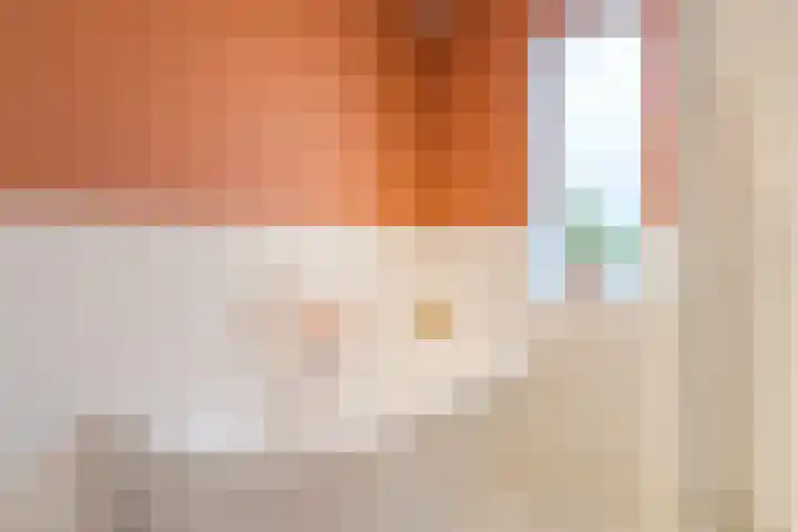 Roodbont 54 Hapert thumbnail 38