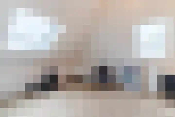 Roodbont 54 Hapert thumbnail 40