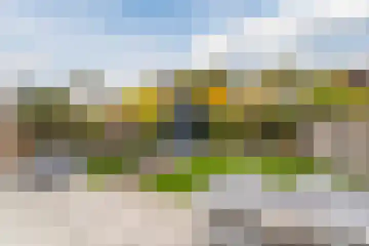 Roodbont 54 Hapert thumbnail 43