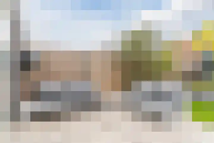 Roodbont 54 Hapert thumbnail 46