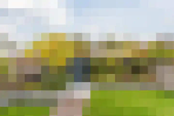 Roodbont 54 Hapert thumbnail 47