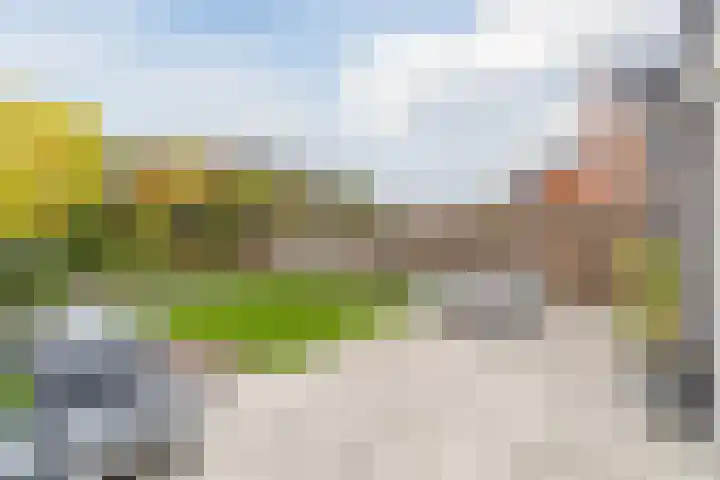 Roodbont 54 Hapert thumbnail 48