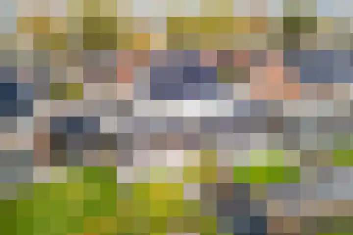 Roodbont 54 Hapert thumbnail 57