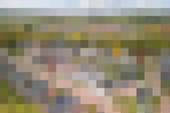 Roodbont 54 Hapert thumbnail 59