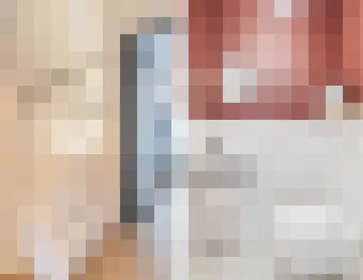 Roodbont 54 Hapert thumbnail 6