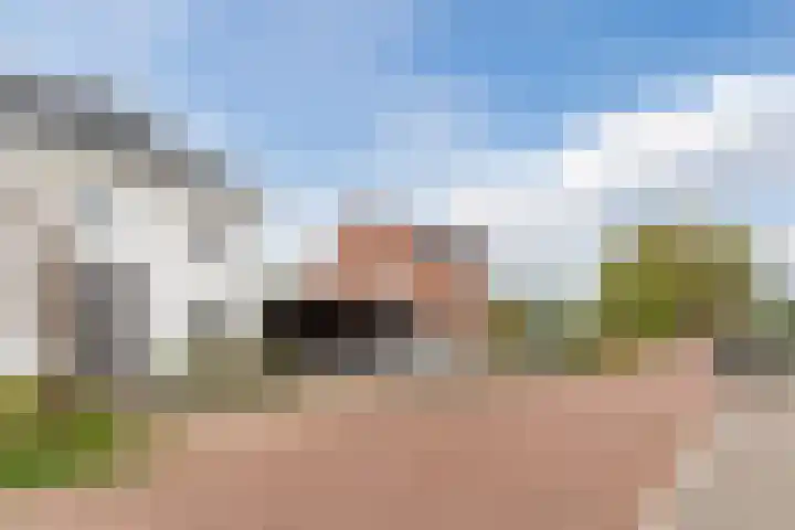 Roodbont 54 Hapert thumbnail 66