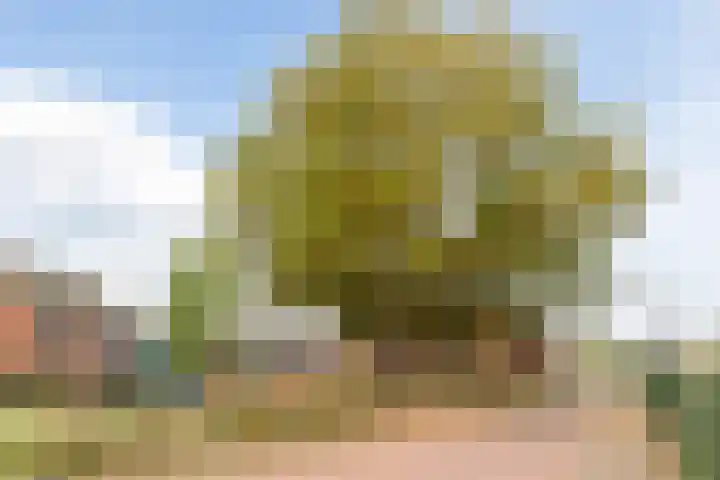 Roodbont 54 Hapert thumbnail 70