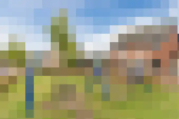 Roodbont 54 Hapert thumbnail 71