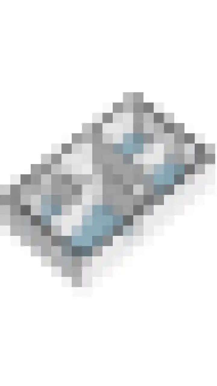 Roodbont 54 Hapert thumbnail 79