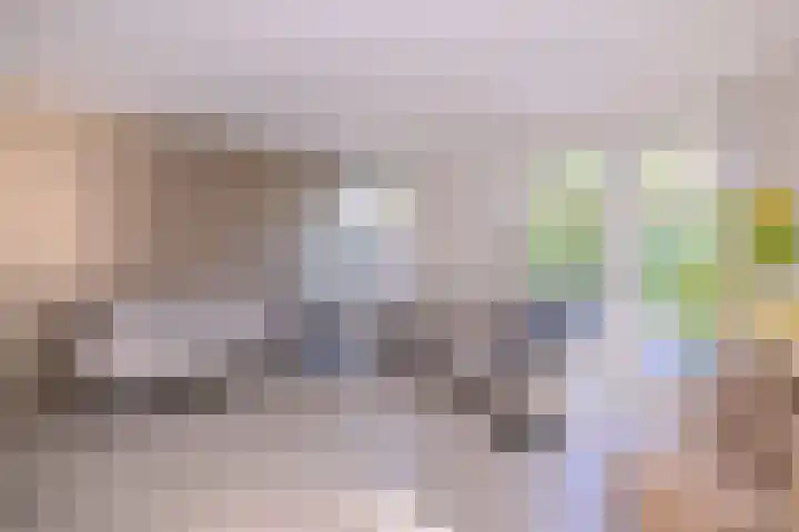 Roodborst 11 Deventer thumbnail 11