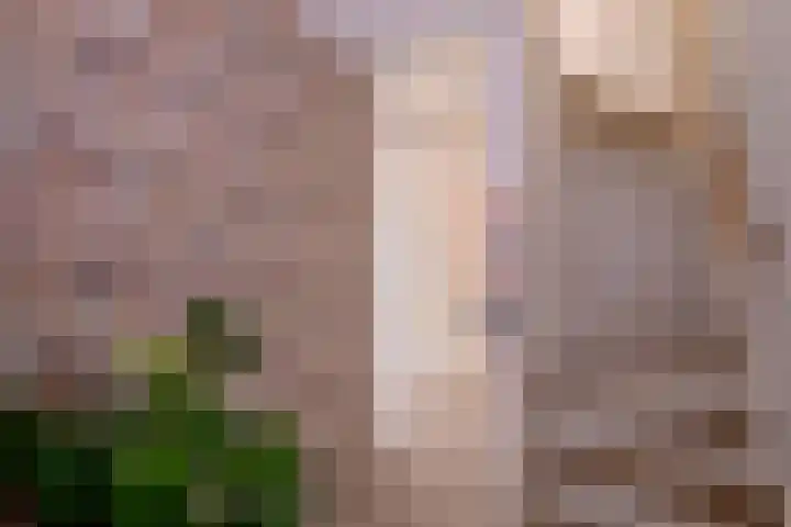 Roodborst 11 Deventer thumbnail 22