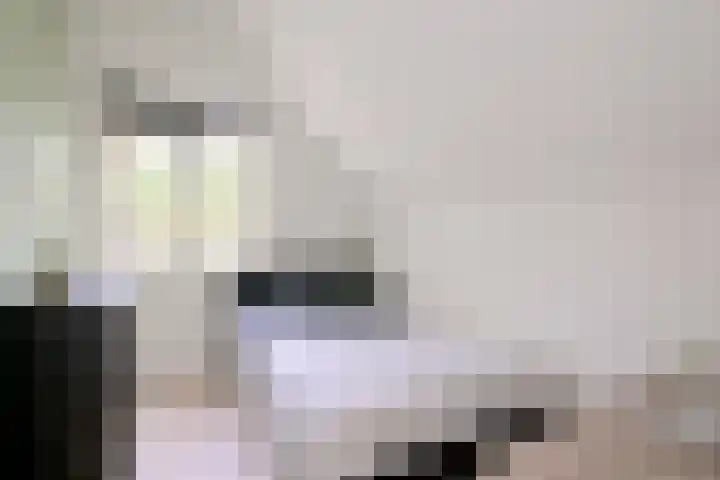 Roodborst 11 Deventer thumbnail 30