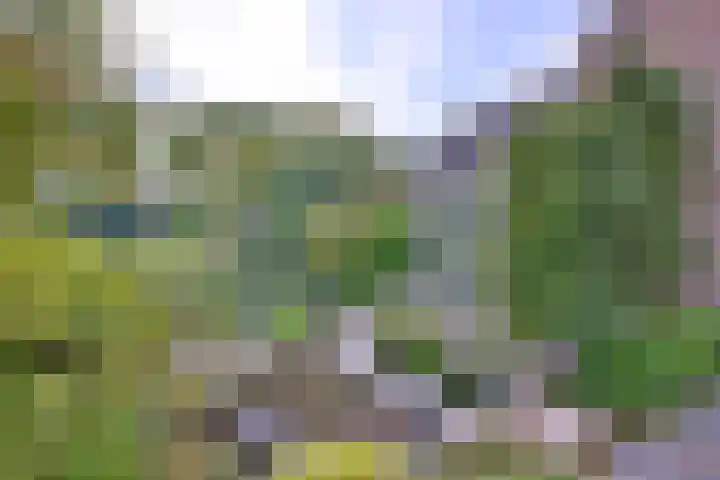 Roodborst 11 Deventer thumbnail 47