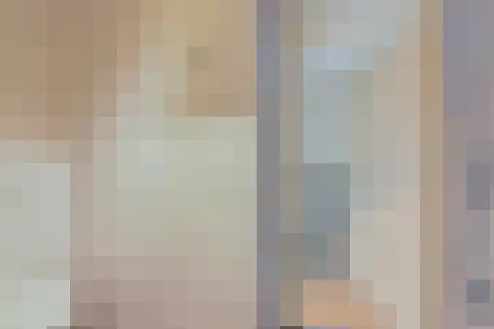 Roodborst 11 Deventer thumbnail 6