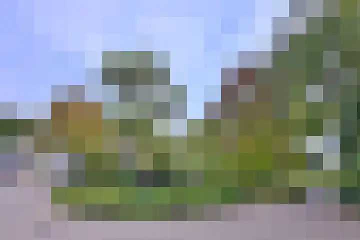 Roodborst 11 Deventer thumbnail 61