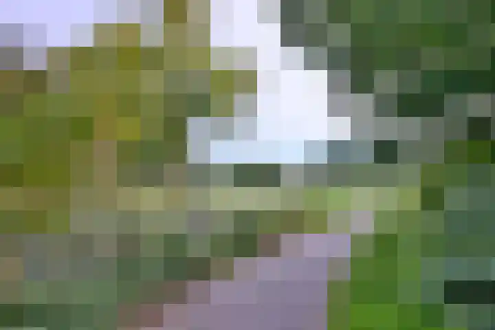 Roodborst 11 Deventer thumbnail 62