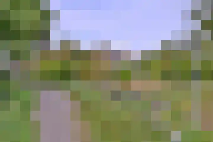 Roodborst 11 Deventer thumbnail 65