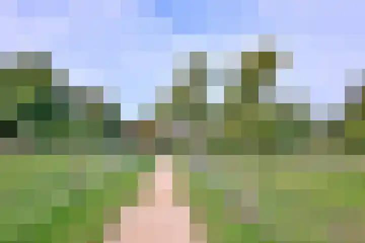 Roodborst 11 Deventer thumbnail 66