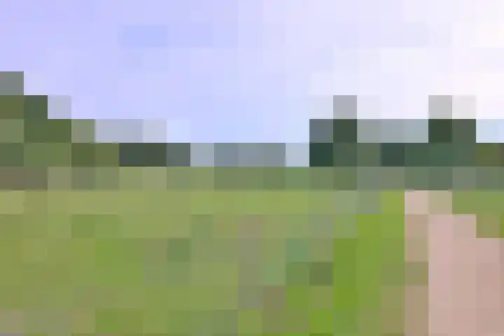 Roodborst 11 Deventer thumbnail 67