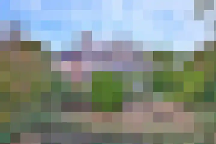 Roodborst 11 Deventer thumbnail 69