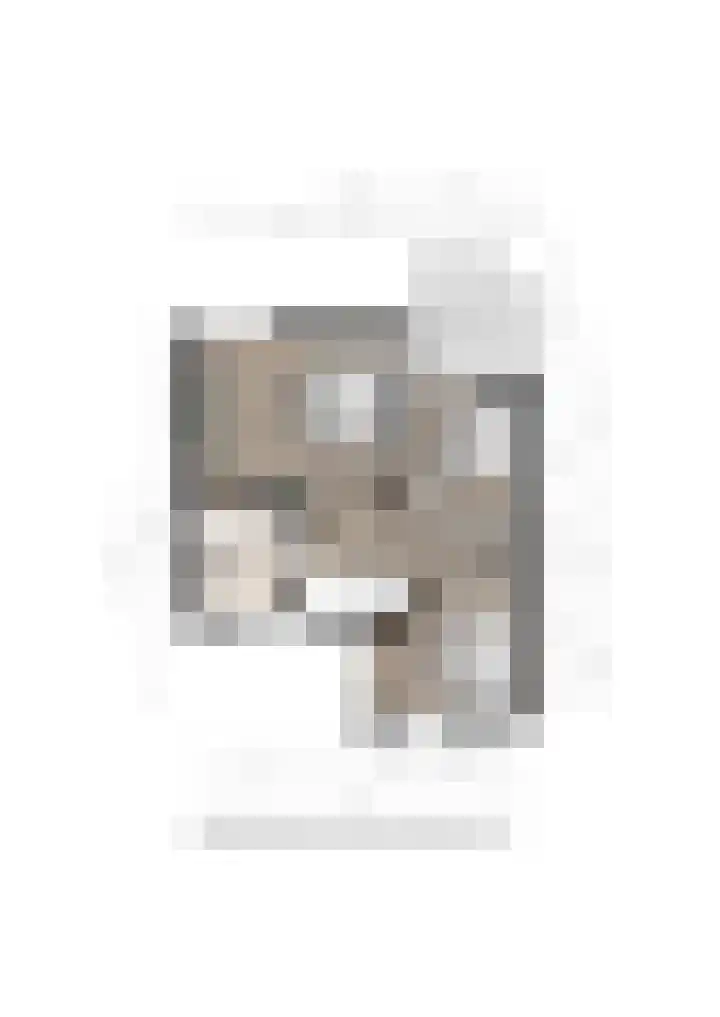 Roodborst 11 Deventer thumbnail 71