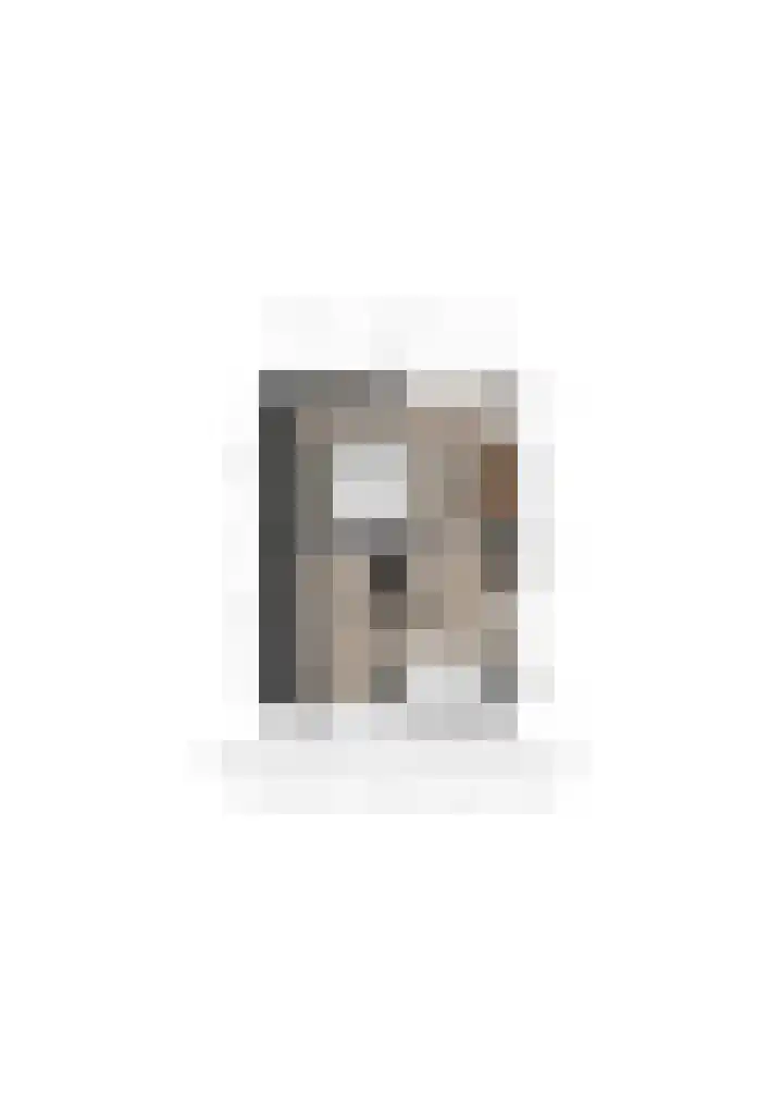 Roodborst 11 Deventer thumbnail 72