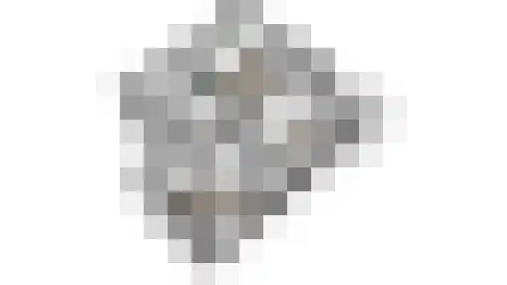 Roodborst 11 Deventer thumbnail 74