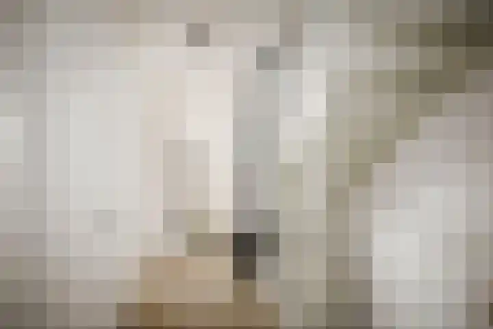 Roodborst 14 Olst thumbnail 11