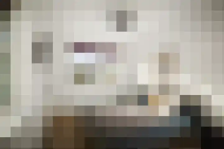 Roodborst 14 Olst thumbnail 12