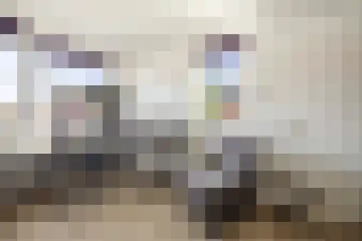 Roodborst 14 Olst thumbnail 14