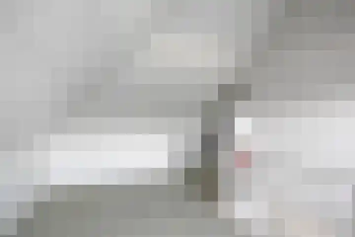 Roodborst 14 Olst thumbnail 18