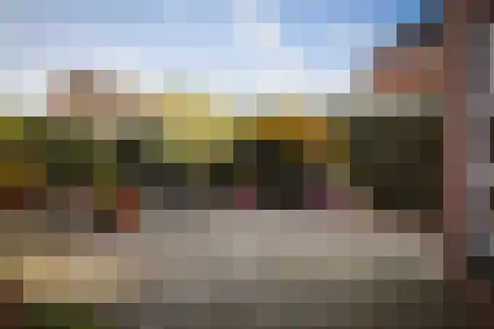 Roodborst 14 Olst thumbnail 20