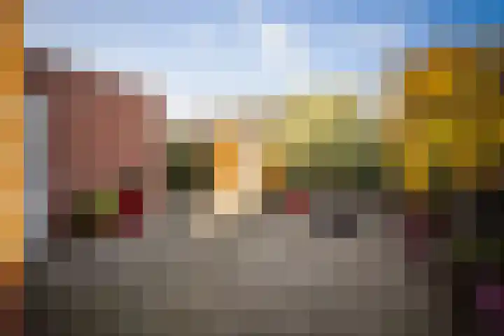 Roodborst 14 Olst thumbnail 21