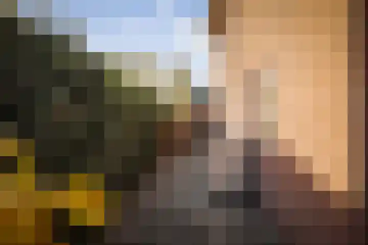 Roodborst 14 Olst thumbnail 22