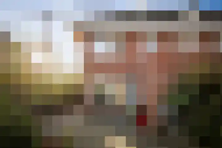 Roodborst 14 Olst thumbnail 23