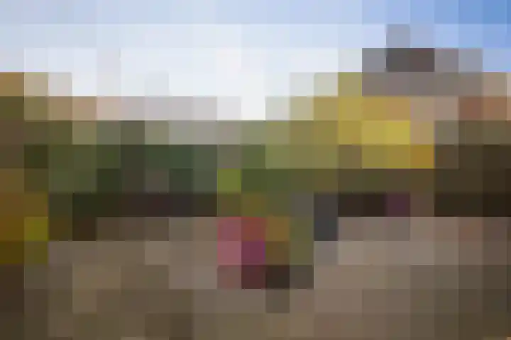 Roodborst 14 Olst thumbnail 24